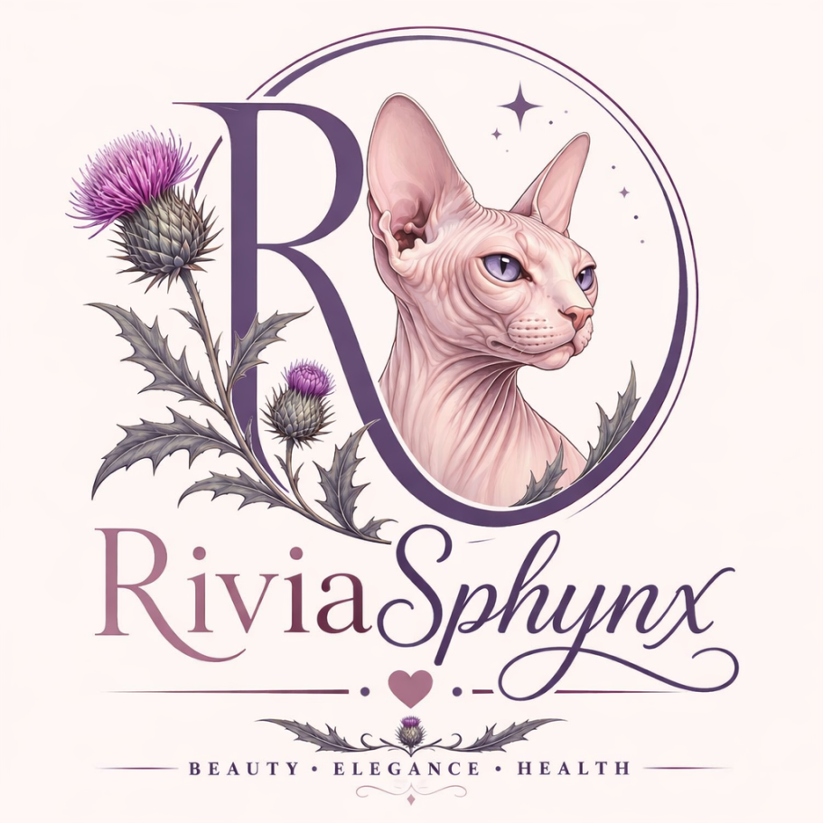 RiviaSphynx Canadian Sphynx breeder logo